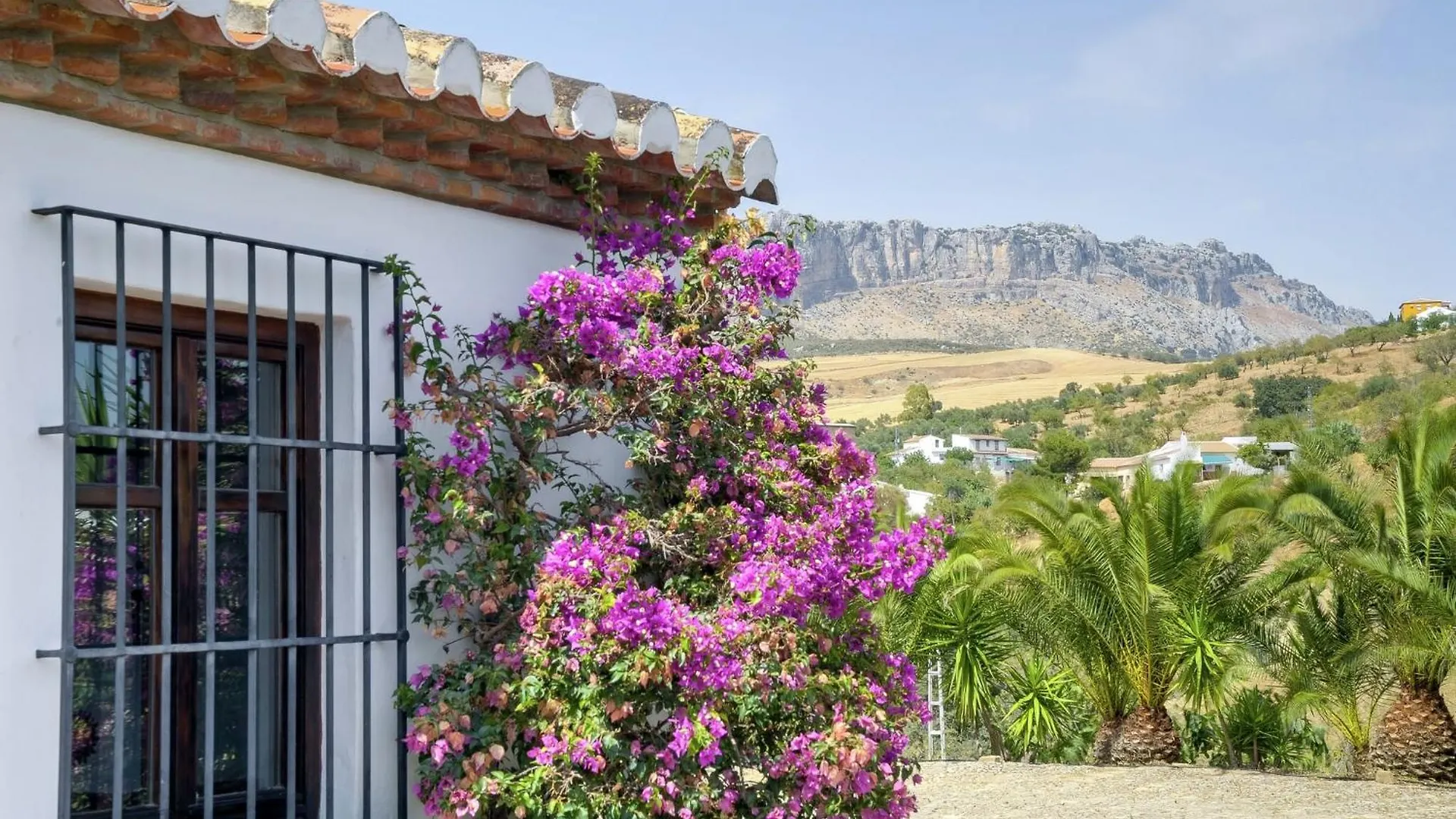Guest House In A Traditional Andalusian Country Estate